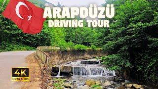 Even The Way to ARAPDÜZÜ is so Beautiful  Black Sea Driving Tour