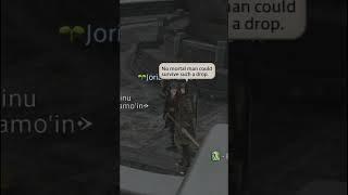Someone should tell this guard about how falls work in FFXIV #ffxiv #ff14 #ffshorts #fun