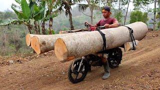the skill and courage of a wooden motorcycle taxi carrying large and high-risk wood