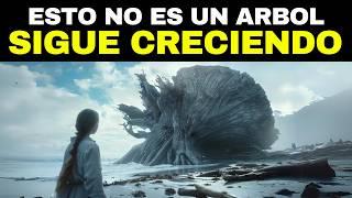 Una Chica Encontró Un Árbol Enorme Arrastrado A La Orilla Y Vio Un Mensaje Secreto En El Tronco