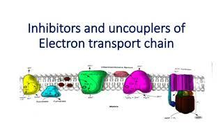 Inhibitors and uncouplers of Electron Transport Chain  Metabolism  Hindi  CSIR NET  ICMR JRF