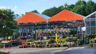 Home Depot July plant inventory. Check out these annualperennial beauties in the heart of summer.