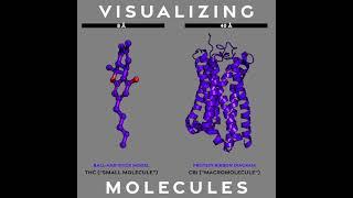 visualizing molecules