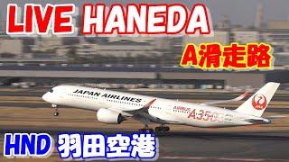 LIVE at  TOKYO　HANEDA　International Airport Plane Spotting　2024.11.01羽田空港ライブカメラ 羽田空港　HNDRJTT  A滑走路