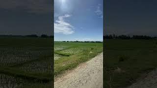 2 5 Bigga  Dherai Sasto jagga Cheap agriculture land for sale Owner 9842050093  9827075865