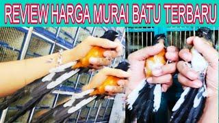 pasar burung Pramuka hari ini review harga burung dipasar Pramuka pasar burung Pramuka Jakarta