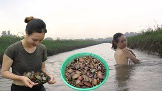 100 Days of Harvesting Clams from the River Bean Tubers in the Field Go to Market Sell  Green Life