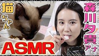 【森川夕貴アナ×猫ちゃん】飼い主とペットのASMRコラボ