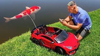 TOY LAMBORGHINI CATCHES COLORFUL FISH