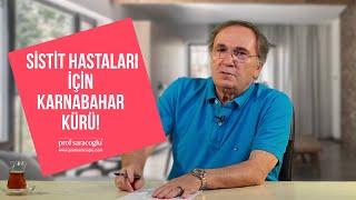 Sistit  İdrar Yolu Enfeksiyonu  Karnabahar Kürü  Prof Saraçoğlu Anlatıyor