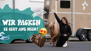 WIR PACKEN   MIT DEN PONYS ANS MEER 