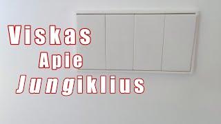 Viskas apie jungiklius kaip veikia? Kaip išsirinkti? Kaip pajugnti?