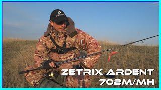 Zetrix Ardent 702MMH - то чем кажется а не то что хочется.