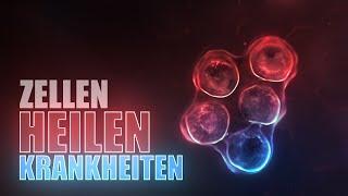 Wie Zellen Krankheiten heilen Animation