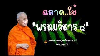 ฉลาด..ใช้ พรหมวิหาร ๔  สมเด็จพระพุทธโฆษาจารย์ ป.อ.ปยุตโต