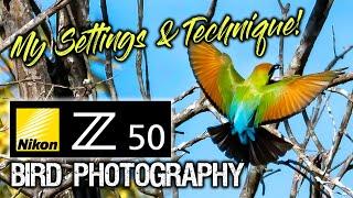Nikon Z50 Bird Photography  My Settings & Technique