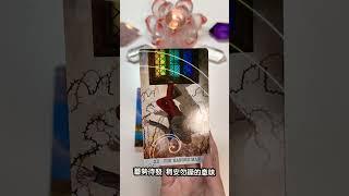 Starseedsoul塔羅解析7月8日-14日週運勢重點