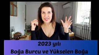 Boğa Burcu ve Yükselen Boğa Burcu için 2023 Yıllı Yorumu Sitare Astroloji