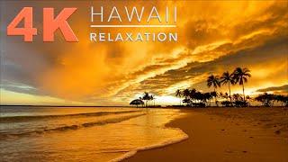 Красивый закат солнца музыка  Hawaii Sunset. Как избавиться от стресса Гавайи август 2020