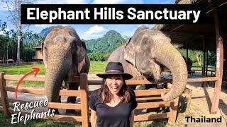 HANGING WITH RESCUED ELEPHANTS IN THAILAND Elephant Hills Sanctuary in Khao Sok National Park