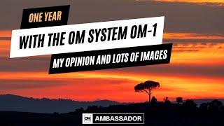 One Year with the OM-1. My Experience and Lots of Images OM System  Olympus Landscape Photography