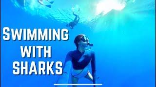Swimming with SHARKS with NO CAGE  HAWAII VLOG 2021