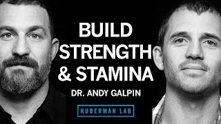 Dr. Andy Galpin How to Build Strength Muscle Size & Endurance  Huberman Lab Podcast #65