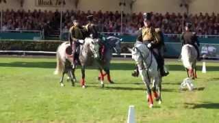 Lützower Jäger aus Redefin - Hengstparade Celle 03.10.2015