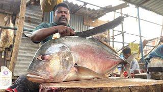 KASIMEDU SELVAM FISH CUTTING  FISH CUTTING SKILLS  FISH CUTTING VIDEOS #kasimedu  UK SONS MARINE