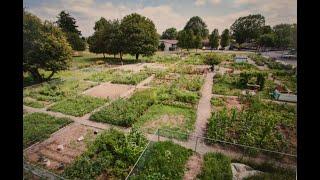 Beautiful village garden in country side of china