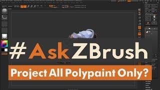 #AskZBrush “How can I project only the polypaint to a new mesh using the Project All function?”
