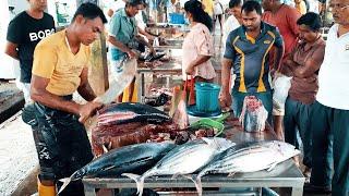 Best Fish Cutting Skills Sri Lanka  Fish Cutting Experts