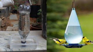 How to make a bird water feeder  Helpful for birds in summer