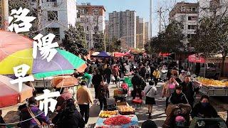 Luoyang Morning Rhythm Slow life at the morning market in the thousand-year-old ancient capital