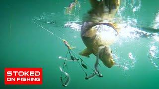 Spotted Bay Bass Fishing in Mission Bay  Stoked On Fishing - Full Episode 