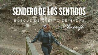 SENDERO DE LOS SENTIDOS BOSQUE DE CUENTO DE HADAS  FashionLu