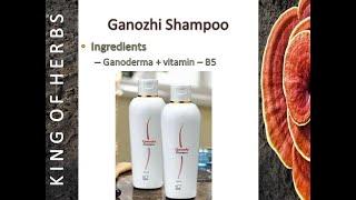 DXN GANOZHI SHAMPOO-  TAMIL - MR. G.V.KUMARAVELU - DOUBLE DIAMOND