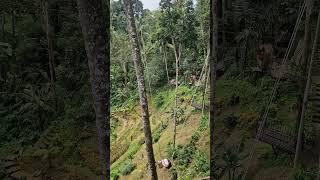 BALI SWING AT TEGALLALANG CEKINGAN RICE TERRACE - INDONESIA - 4K - 2024