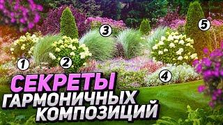 ХВОЙНЫЙ МИКСБОРДЕР готовые схемы и фото для вдохновения