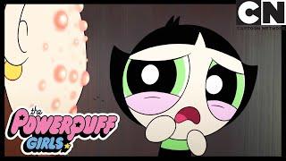 EW NOT COOL  Powerpuff Girls  Cartoon Network