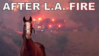 Riding Through Fire Damage  LOS ANGELES  MALIBU  THE SNAKE