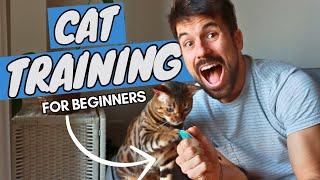 How to Train a Cat  EASY BEGINNER CAT TRAINING TUTORIAL  my secret
