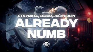 Synymata Egzod Josh Rubin - Already Numb