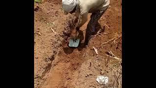 Wow Excavation for Strip Foundation in Progress