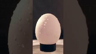 Putting an egg in the microwave