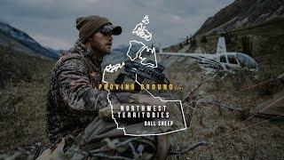 2020 Proving Ground  NWT Dall Sheep with Levi Morgan