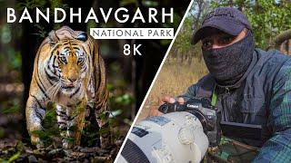 Wildlife Photography in Bandhavgarh National Park  TIGER COUNTRY Ep. 4 - A Royal Bloodline