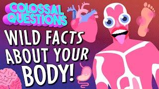 GROSS Things That Can Happen to Your Body If You Dont Take Care of it  COLOSSAL QUESTIONS