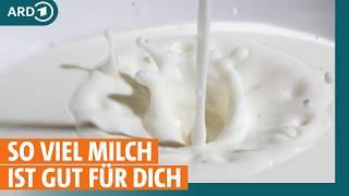 Milch Käse und Co So viel ist gesund I ARD Gesund