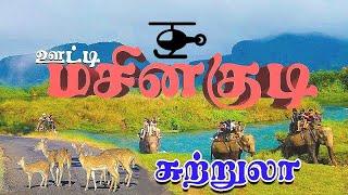 மனதை மயக்கும் மசினகுடி சுற்றுலா I Masinagudi Best 7 Place#tourist #tamil  #tourism